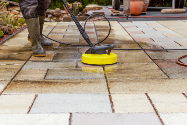 Best Solar Panel Cleaning  in Annandale, MN