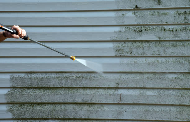 Best House Exterior Washing  in Annandale, MN