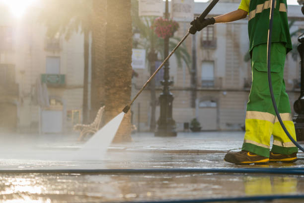 Pre-Holiday Cleaning in Annandale, MN